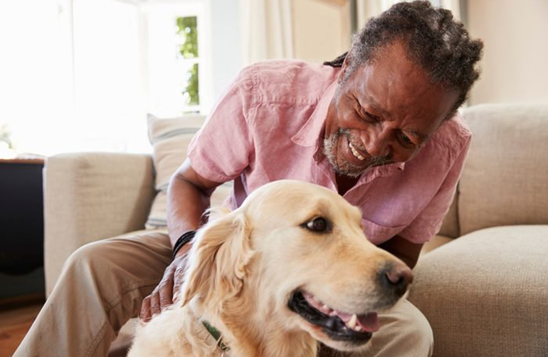 Reasons why dogs are good for seniors