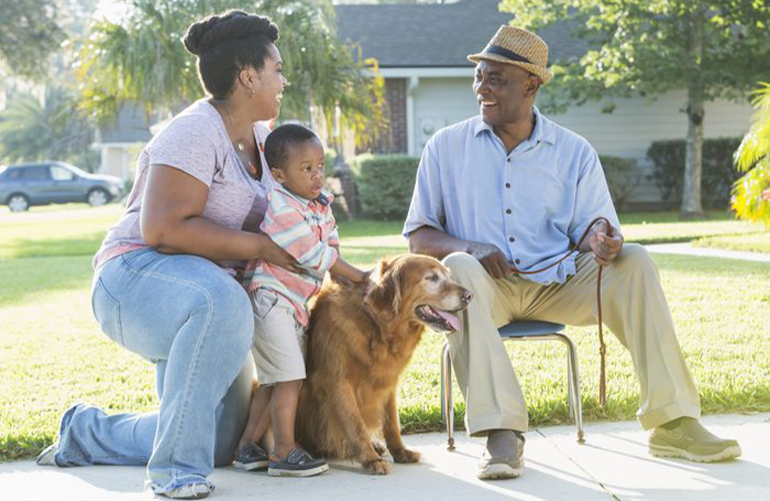 Best with grandkids: Golden retriever