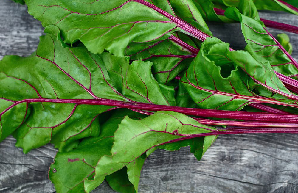 Beetroot greens