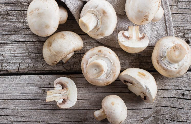 Mushroom stems