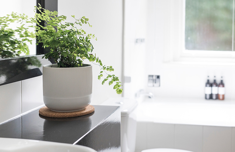 Cleaning solutions act instantly