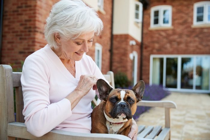 Easiest dog to care for: French bulldog