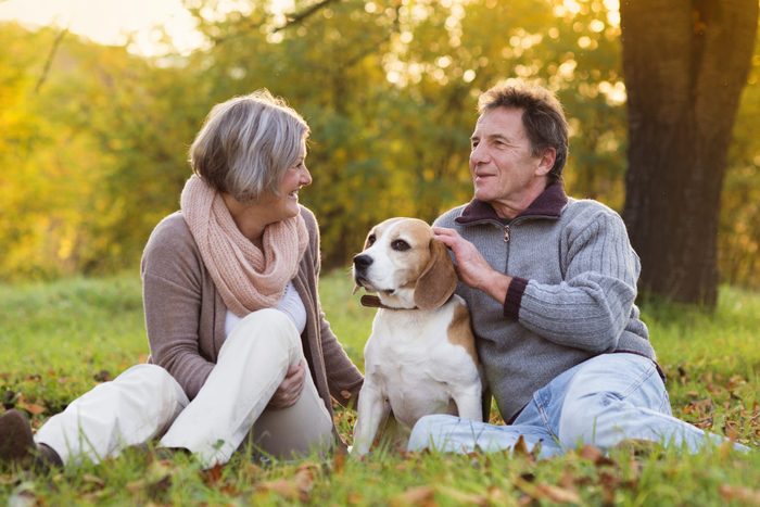 Best dog for seniors with a backyard: Beagle