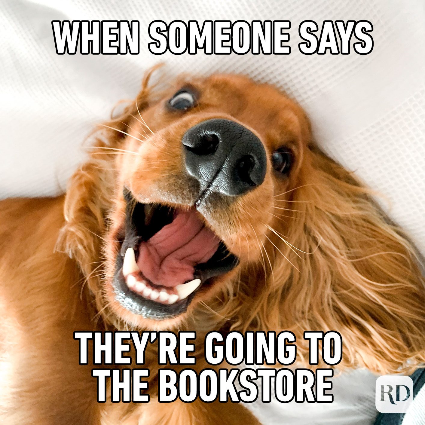 Don’t stop, let’s shop