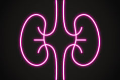 illo of kidneys