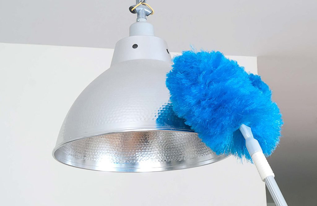 Feather dusters dust