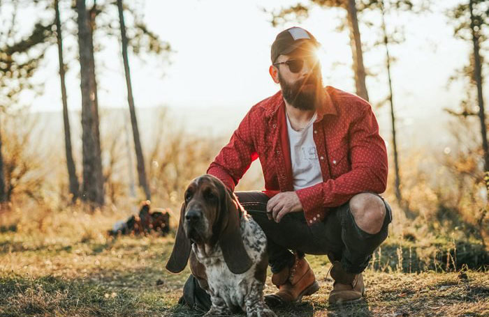 2. Basset hound