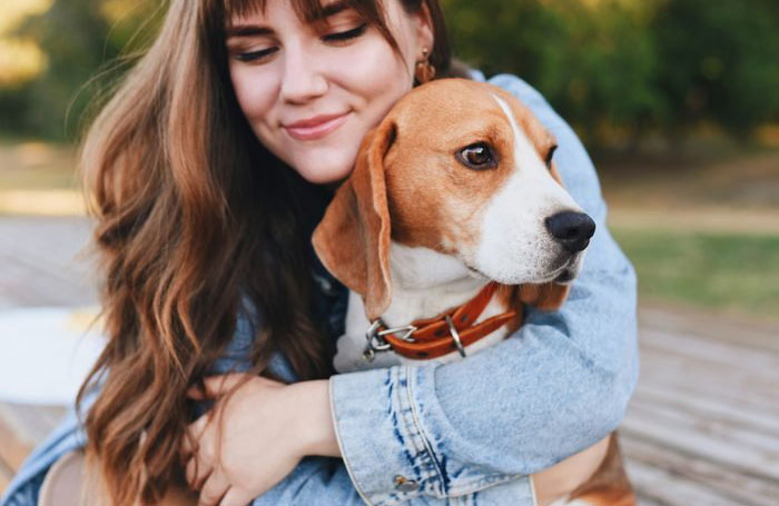 Beagle