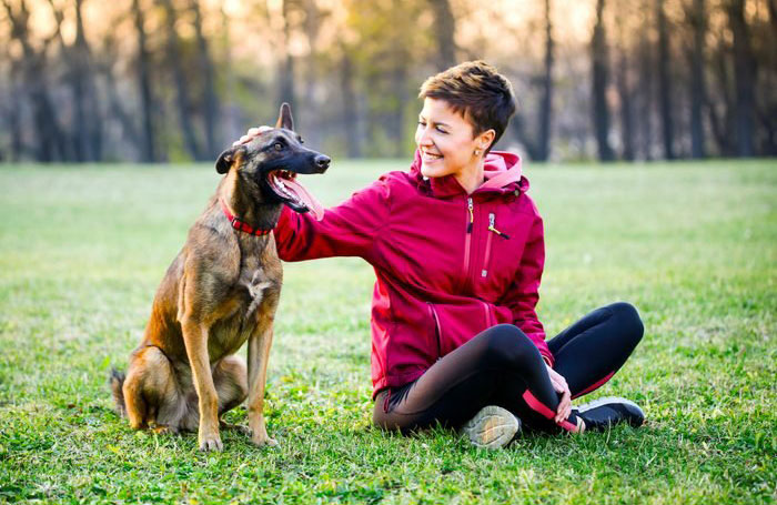 Belgian malinois