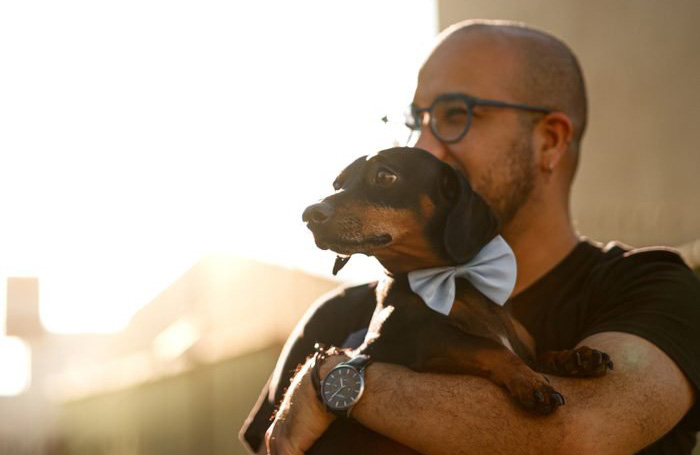 20. Dachshund