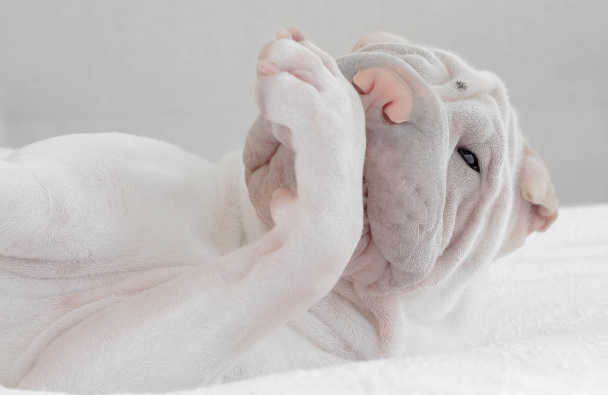 When do I need to see a vet?