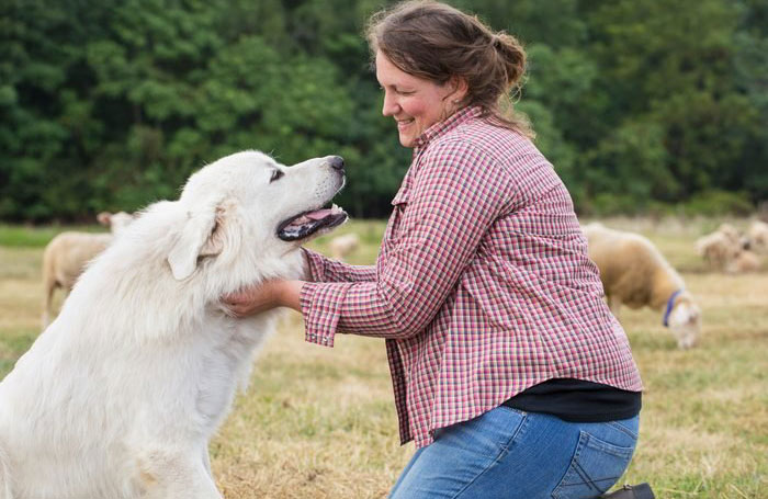 1. Great Pyrenees