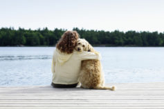10 best emotional support dogs