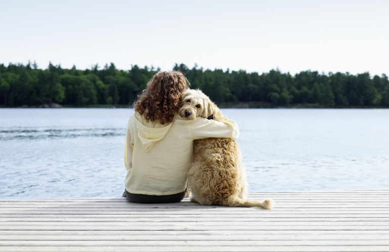 What is an emotional support dog?