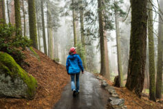 How walking meditation can improve your mental health