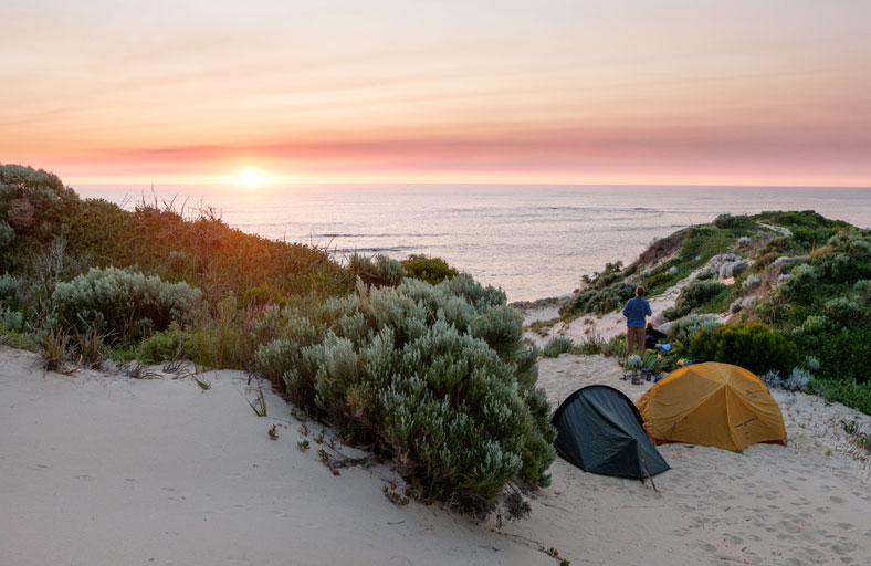 Camp under the stars