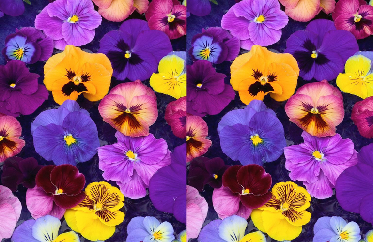 Can you spot the difference?