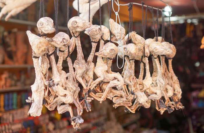 Witch Market, La Paz, Bolivia