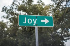 10 silly signs to brighten your day