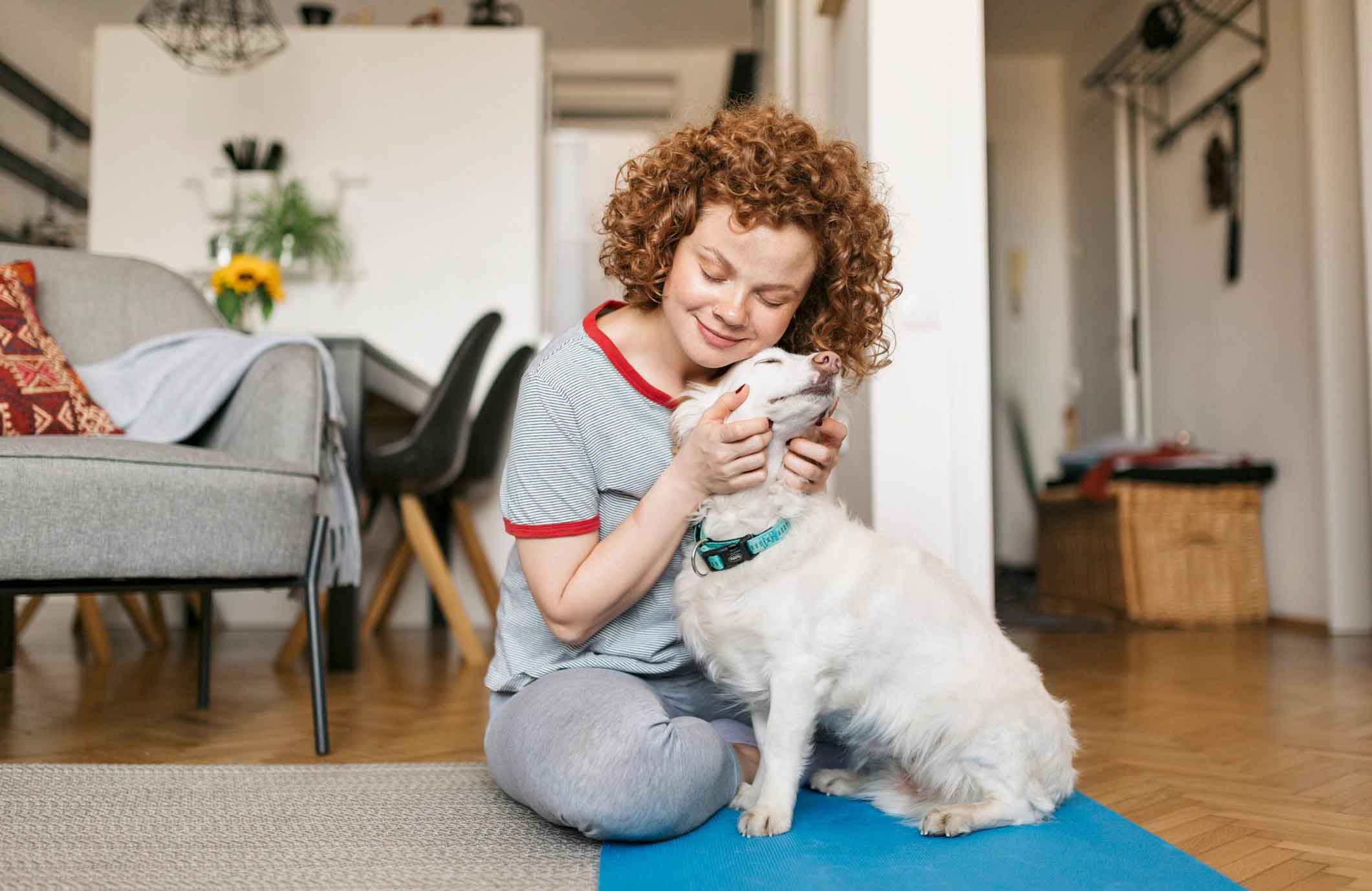 A calm, relaxed home can help your dog feel less stressed