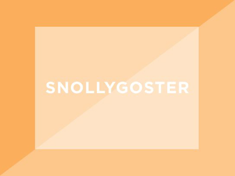 Snollygoster