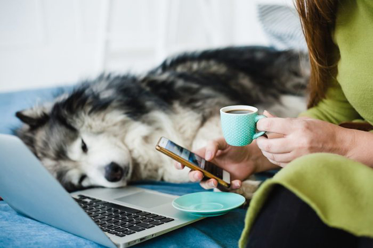 You listen to Dr Google instead of your vet