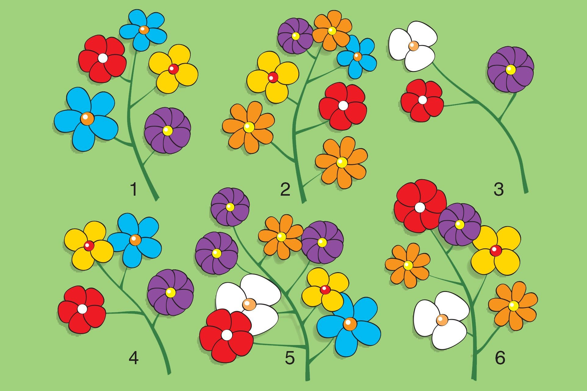 Which flower branch doesn’t belong?