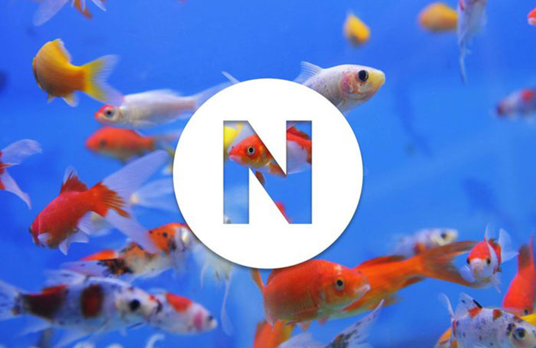 N is for…