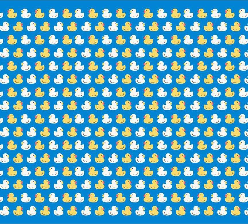 Which duck doesn’t belong?