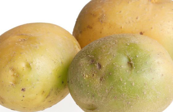 Green potatoes