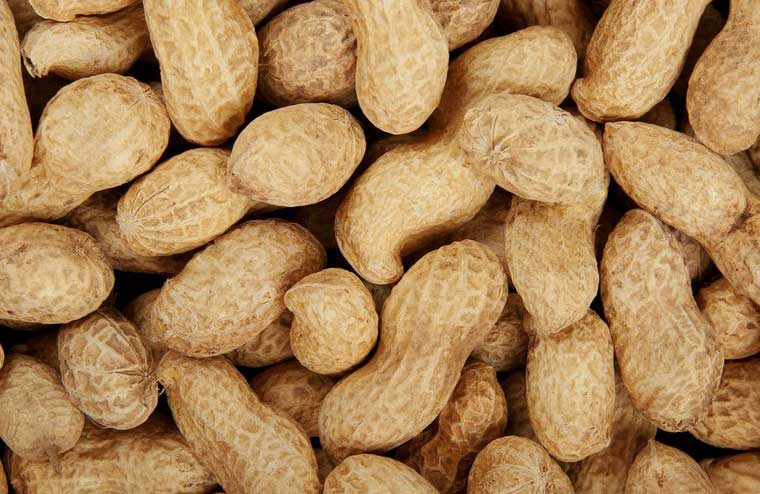 Peanuts