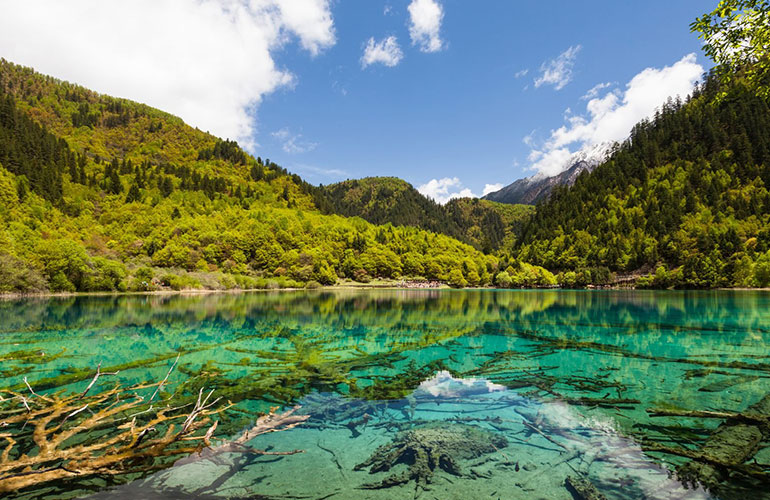 Five Flower Lake, Jiuzhaigou National Park, China