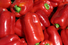 13 foods doctors eat when they have a cold