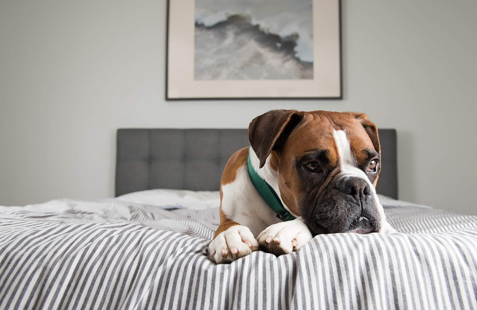Restlessness, or a change in sleeping habits