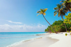 21 gorgeous beaches with the clearest water in the world