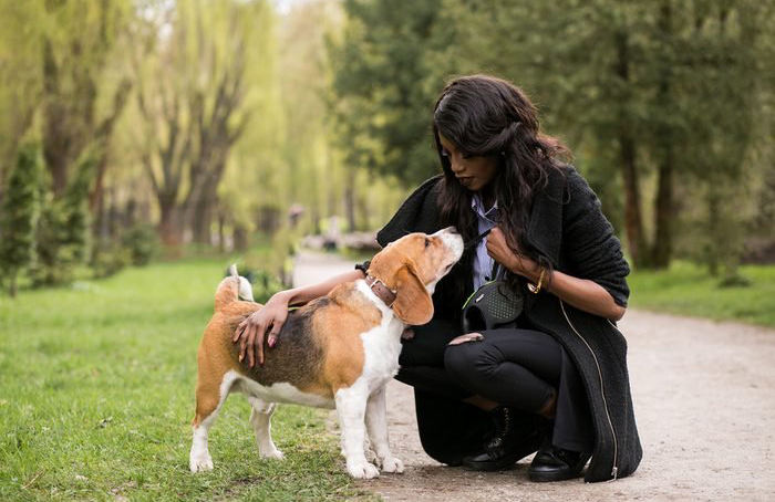 Your dog’s desire for affection changes