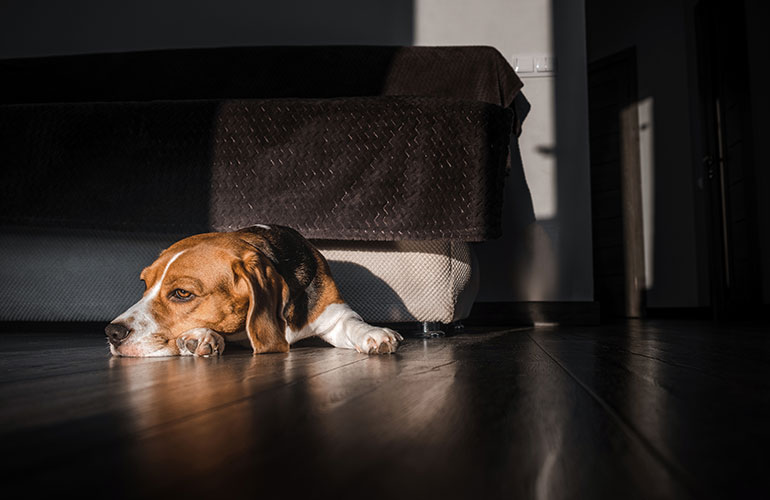 Experiencing a death in the family
