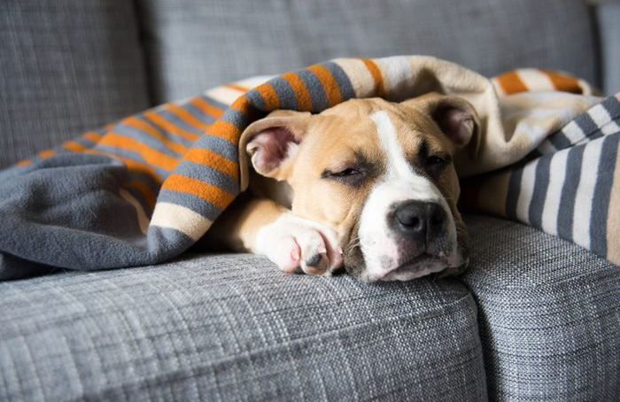 2. Sleeping more than usual
