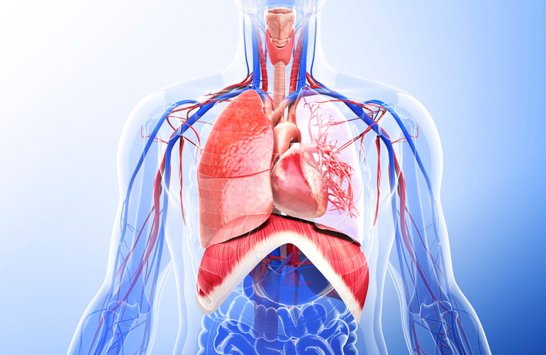 Diaphragmatic breathing