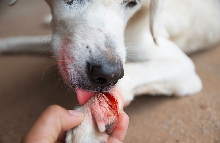 An injury