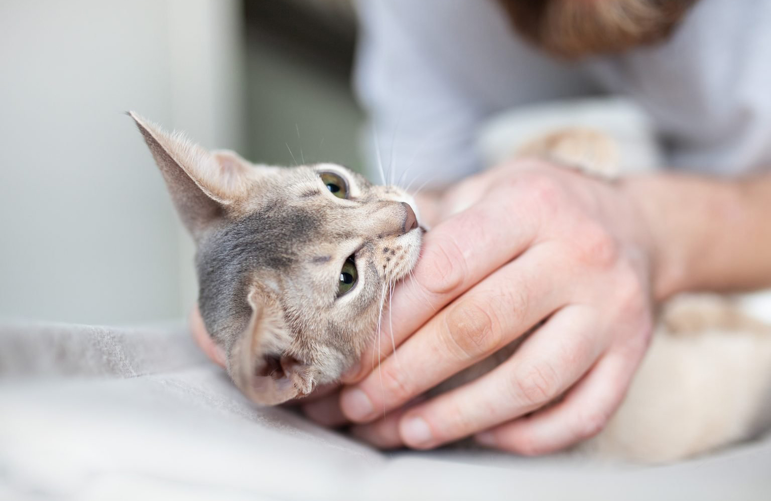 He bites your hand when you pet him
