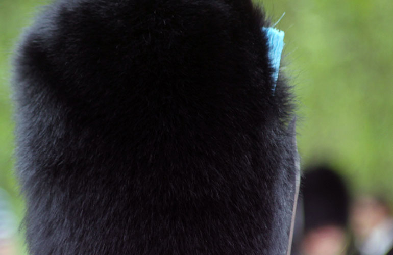 Some bears were harmed in the making of the hats