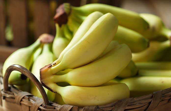 Buy green bananas