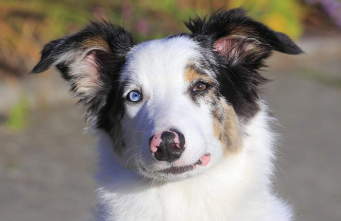 Blinking or squinting during eye contact