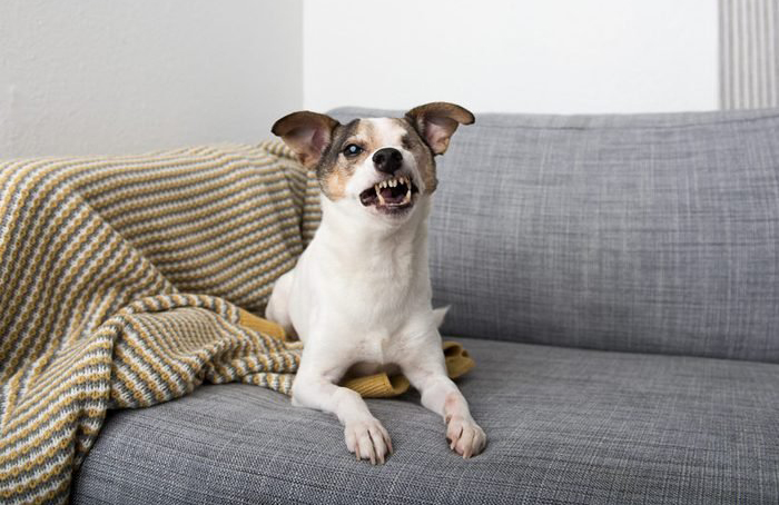 She lets out a primal growl