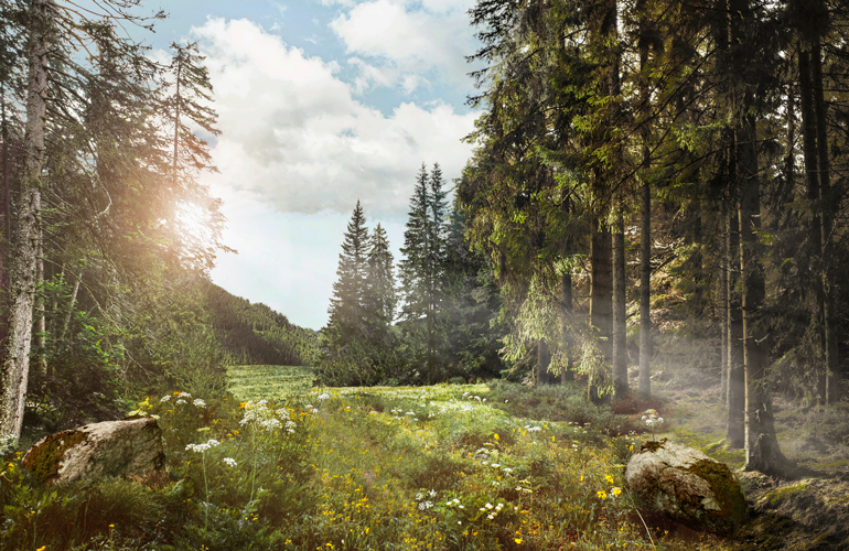 9. Enjoying nature