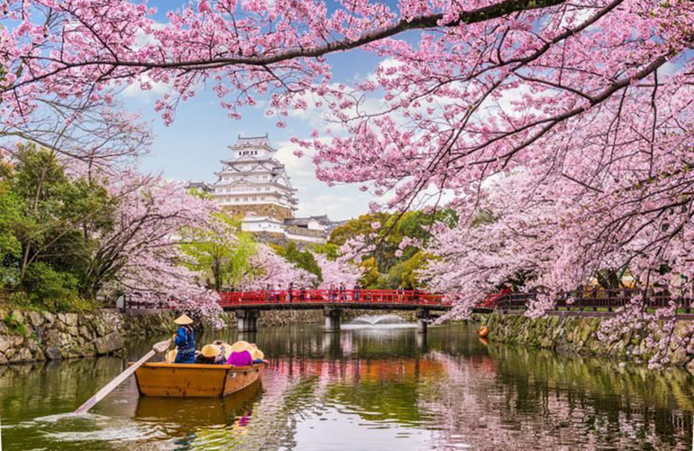 9. Japan