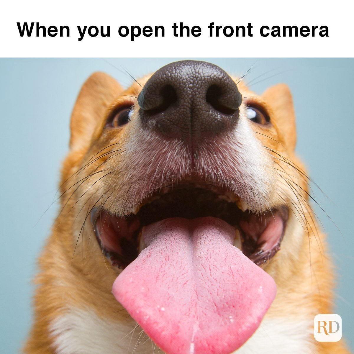 Ready for my close up
