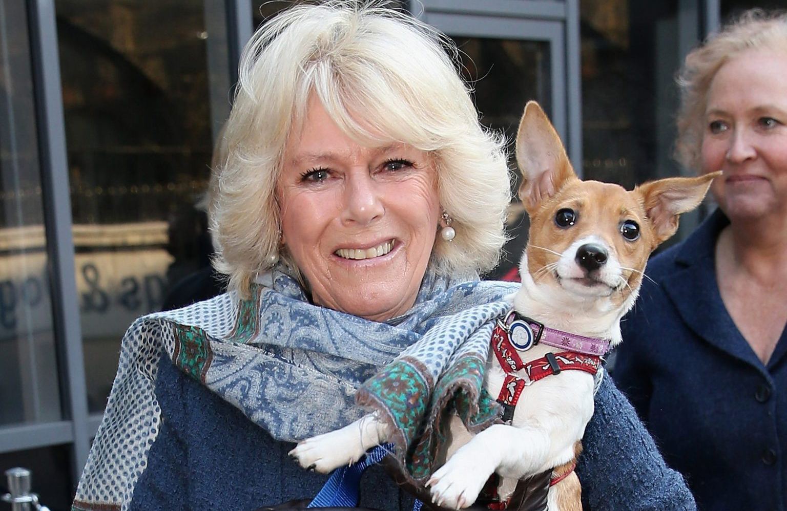 Are they the first rescue dogs in Buckingham Palace?