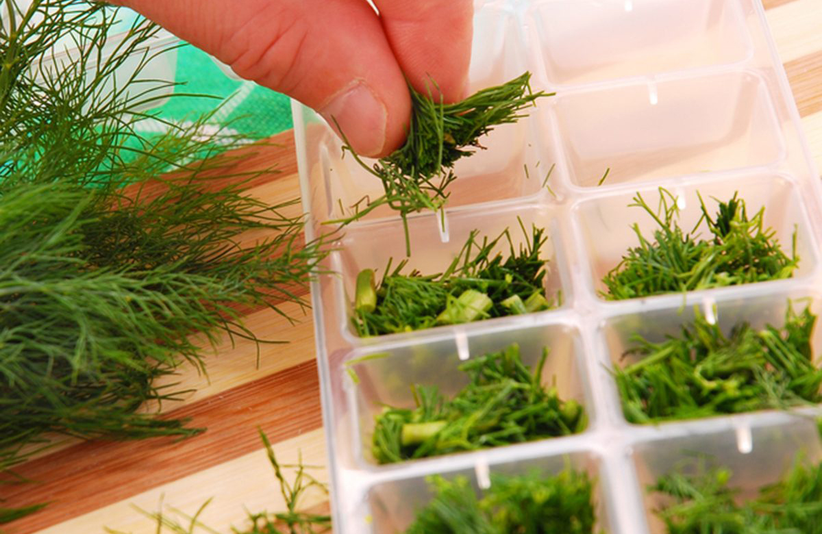 Use an ice cube tray to make herb cubes